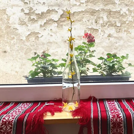 Flh - The Modern Classic Romanian Brașov