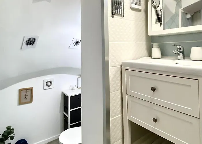 Flh - The Modern Classic Romanian * Brasov