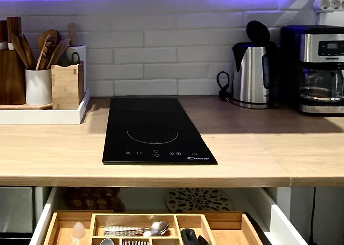 Flh - The Modern Classic Romanian