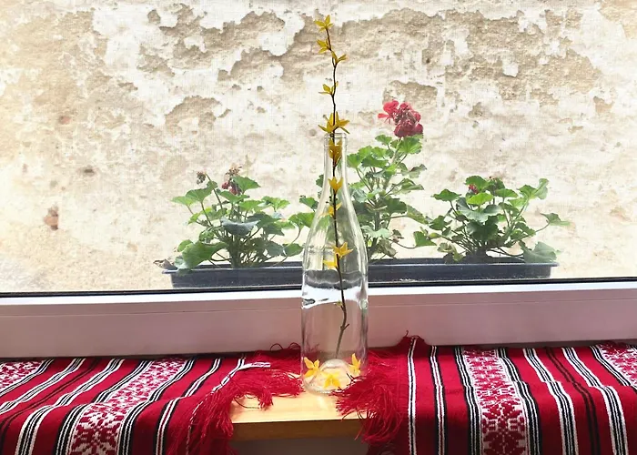 Flh - The Modern Classic Romanian Braşov